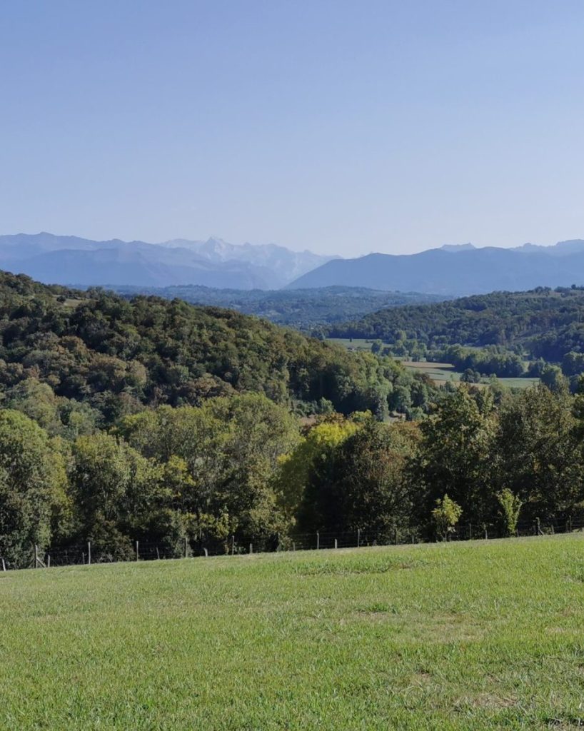 béarn accompagnement